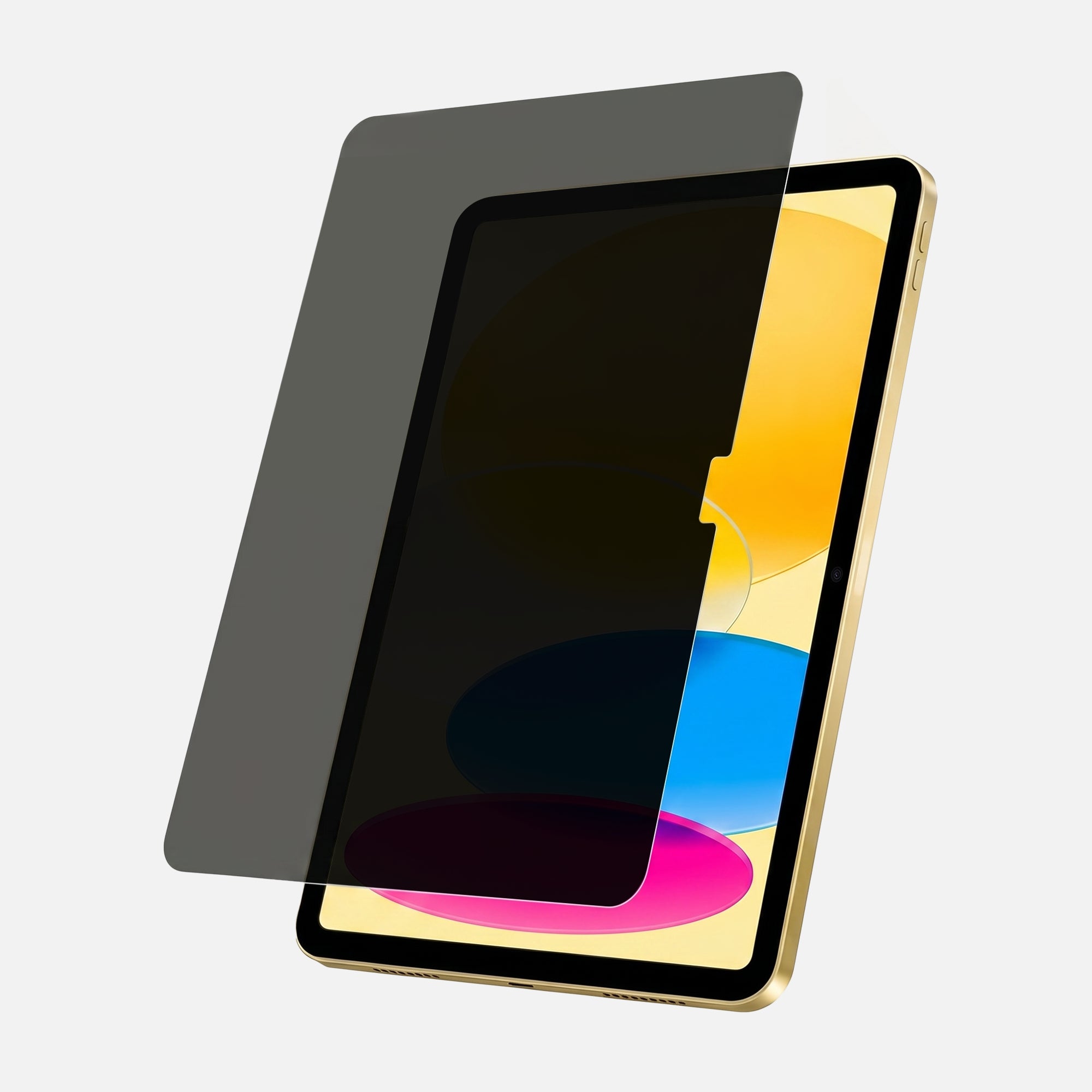Anti Glare Matte & Privacy Glass Screen Protector for 10.9-inch iPad 11 2025