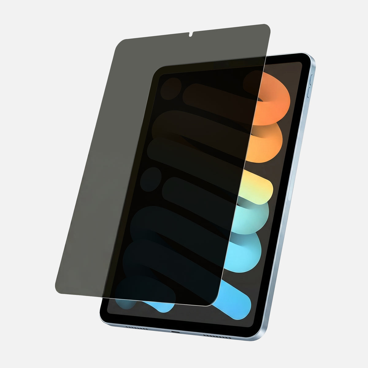 Anti Glare Matte & Privacy Glass Screen Protector for iPad Mini 7/6